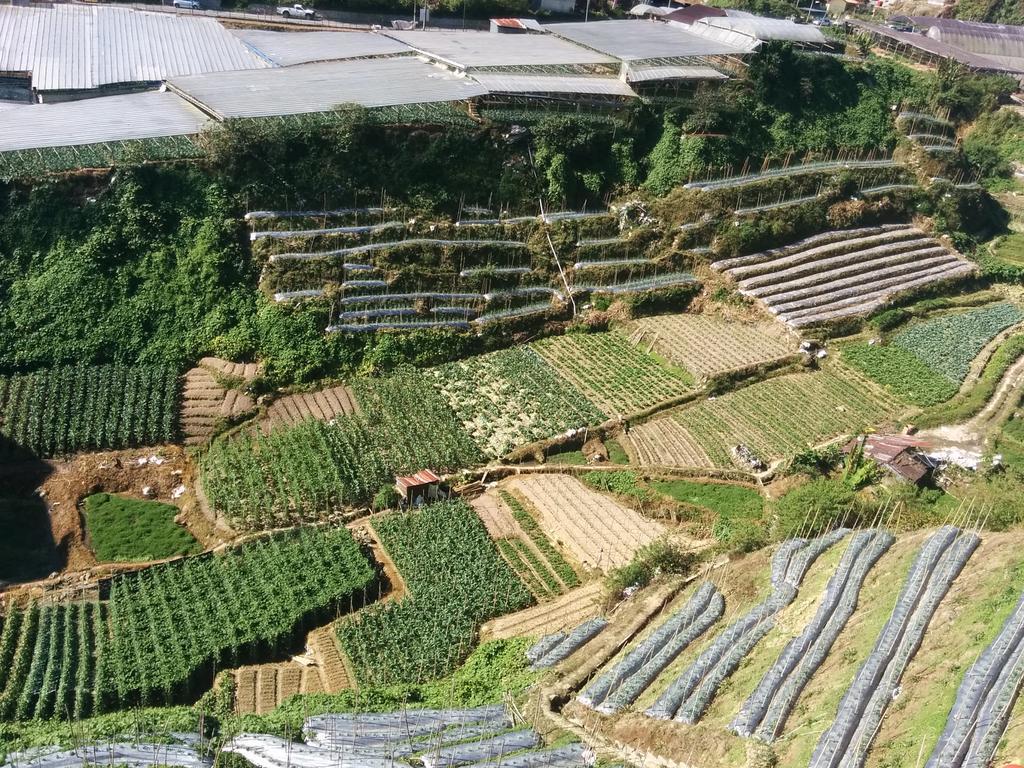 Mary Apt @ Equatorial Hill Resort Cameron Highlands Exterior foto